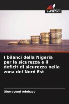 I bilanci della Nigeria per la sicurezza e il deficit di sicurezza nella zona del Nord Est - Adebayo, Oluwayemi