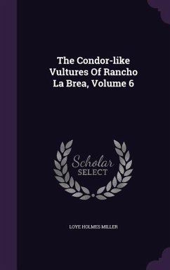 The Condor-like Vultures Of Rancho La Brea, Volume 6 - Miller, Loye Holmes