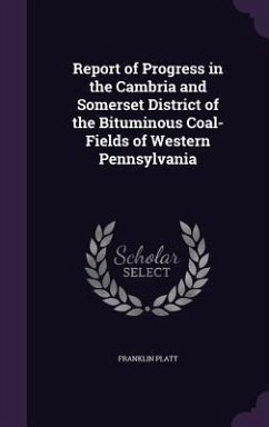 Report of Progress in the Cambria and Somerset District of the Bituminous Coal-Fields of Western Pennsylvania - Platt, Franklin