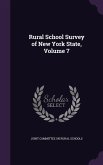 Rural School Survey of New York State, Volume 7