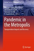 Pandemic in the Metropolis (eBook, PDF)