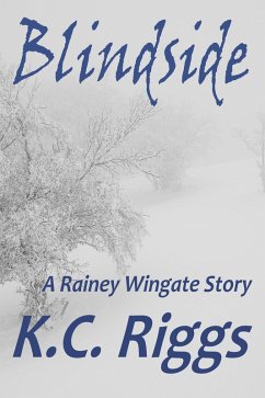 Blindside; A Rainey Wingate Story (eBook, ePUB) - Riggs, K. C.