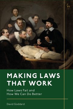 Making Laws That Work (eBook, PDF) - Goddard, David