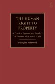 The Human Right to Property (eBook, ePUB)