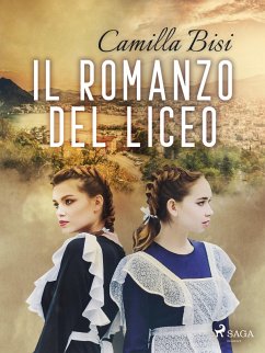 Il romanzo del liceo (eBook, ePUB) Cover Il romanzo del liceo (eBook, ePUB)