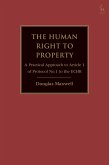 The Human Right to Property (eBook, PDF)