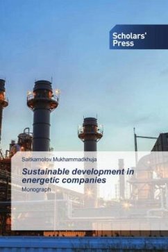 Sustainable development in energetic companies - Mukhammadkhuja, Saitkamolov