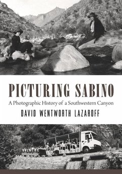 Picturing Sabino - Lazaroff, David Wentworth