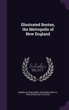 Illustrated Boston, the Metropolis of New England