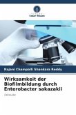 Wirksamkeit der Biofilmbildung durch Enterobacter sakazakii