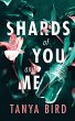 Shards of You and Me - Bild 1