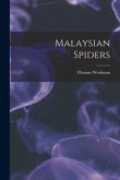 Malaysian Spiders