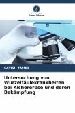 Untersuchung von Wurzelfäulekrankheiten bei Kichererbse und deren Bekämpfung