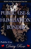 Public Use & Humiliation Bundle (eBook, ePUB)