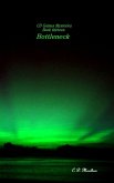 Bottleneck (CD Grimes PI, #13) (eBook, ePUB)