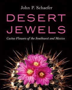 Desert Jewels - Schaefer, John P