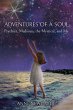 Adventures of a Soul: (eBook, ePUB) - Bild 1