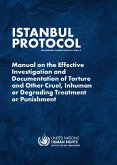 Istanbul Protocol