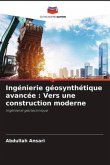 Ingénierie géosynthétique avancée : Vers une construction moderne