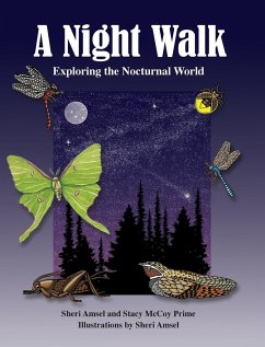 A Night Walk - Amsel, Sheri; McCoy, Stacy