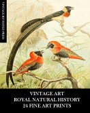Vintage Art Vintage Art