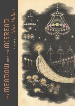 The Meadow and the Misread - Halper, Max