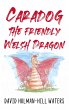 Caradog the Friendly Welsh Dragon... - Bild 1