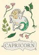 Capricorn - Bild 1