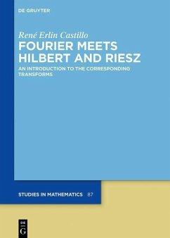 Fourier Meets Hilbert and Riesz (eBook, PDF) - Castillo, René Erlin