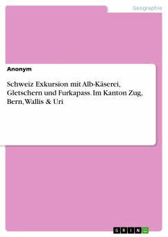 Schweiz Exkursion mit Alb-Käserei, Gletschern und Furkapass. Im Kanton Zug, Bern, Wallis & Uri (eBook, PDF)