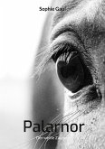 Palarnor (eBook, ePUB)