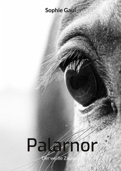 Palarnor (eBook, ePUB) - Gaul, Sophie