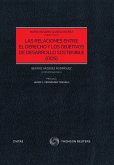 Las relaciones entre el Derecho y los Objetivos de Desarrollo Sostenible (ODS) (eBook, ePUB)
