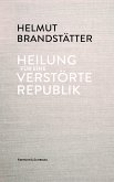 Heilung für eine verstörte Republik (eBook, ePUB)