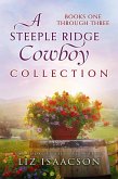 Her Steeple Ridge Cowboys (eBook, ePUB)