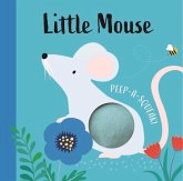 Little Mouse Peep-a-Squeak!