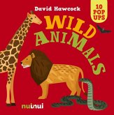 10 Pop Ups - Wild Animals