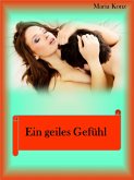 Ein geiles Gefühl (eBook, ePUB)