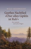 Goethes Nachtlied "Über allen Gipfeln ist Ruh'" (eBook, PDF)