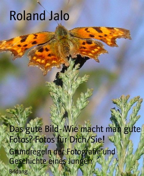Das gute Bild- Wie macht man gute Fotos? Fotos für Dich/Sie! (eBook, ePUB) Das gute Bild- Wie macht man gute Fotos? Fotos für Dich/Sie! (eBook, ePUB)