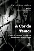 A Cor do Temor (eBook, ePUB)