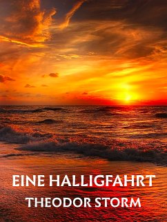 Eine Halligfahrt (eBook, ePUB)