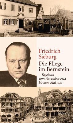 Die Fliege im Bernstein (eBook, PDF) - Sieburg, Friedrich
