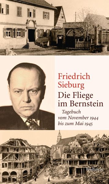 Die Fliege im Bernstein (eBook, PDF) Die Fliege im Bernstein (eBook, PDF)
