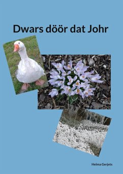 Cover Dwars döör dat Johr (eBook, ePUB)