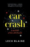 Car Crash (eBook, ePUB)