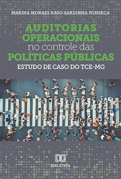 Auditorias operacionais no controle das políticas públicas (eBook, ePUB)