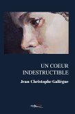 Un coeur indestructible (eBook, ePUB)