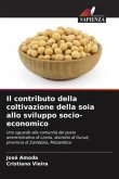 Il contributo della coltivazione della soia allo sviluppo socio-economico