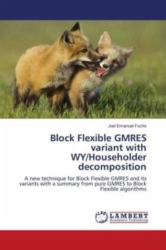 Block Flexible GMRES variant with WY/Householder decomposition